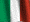 La casa che fece sorridere i gatti - Homepage Italiana